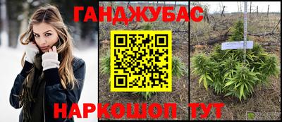 гидра Лесосибирск