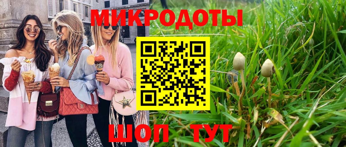 Псилоцибиновые грибы Psilocybe Городец