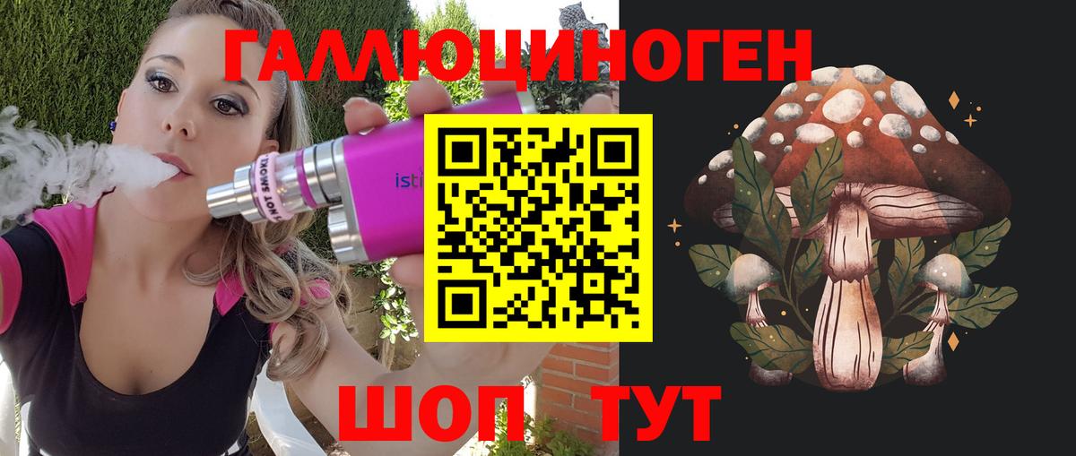 Псилоцибиновые грибы Psilocybe  Вход с VPN  Городец  Галлюциногенные грибы мухоморы 